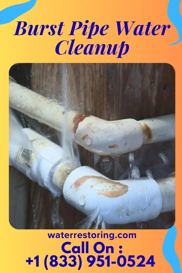Burst Pipe Water Cleanup in Bliss Corner, MA