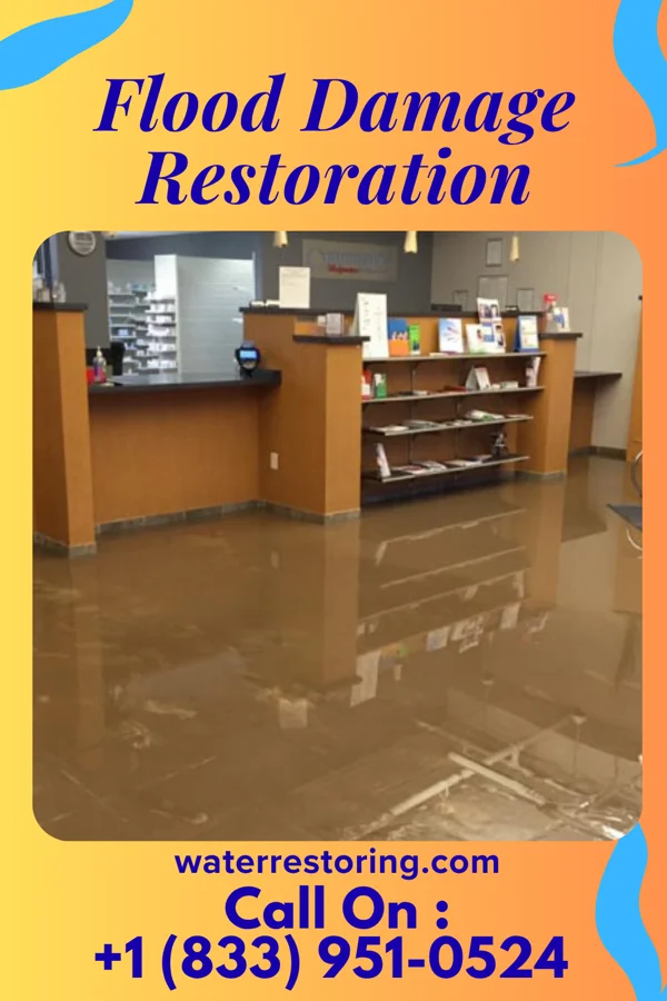 Flood Damage Restoration in Bliss Corner, MA