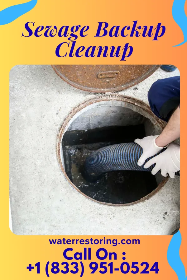 Sewage Backup Cleanup in Bliss Corner, MA
