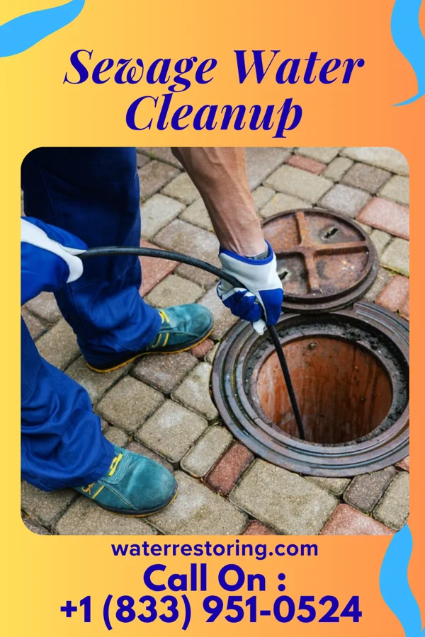 Sewage Water Cleanup in Bliss Corner, MA