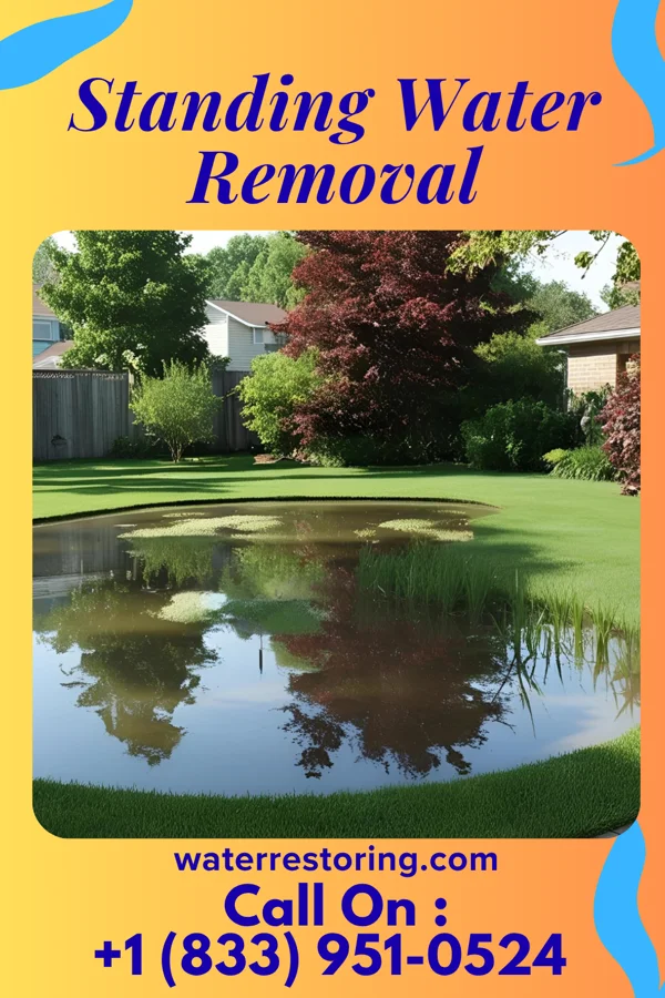 Standing Water Removal in Bliss Corner, MA